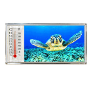 3D Thermometer Magnet Turtle